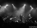 05_Sanctuary-6.jpg