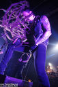 09-Amorphis-Ivy.jpg