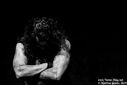 10_Majesty_by_martina_sestic.jpg