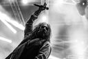 12_the_dead_daisies_by_martina_sestic.jpg