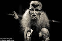 13_Saint_Vitus.jpg