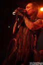 15-Amorphis-Ivy.jpg