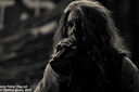 16_the_dead_daisies_by_martina_sestic.jpg