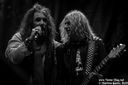 18_the_dead_daisies_by_martina_sestic.jpg