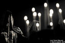 19_batushka_by_martina_sestic.jpg