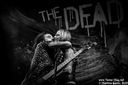 19_the_dead_daisies_by_martina_sestic.jpg