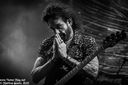 21_the_dead_daisies_by_martina_sestic.jpg