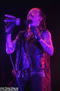 23-Amorphis-Ivy.jpg