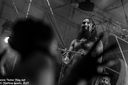 26_amon_amarth_by_martina_sestic.jpg