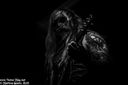 26_carpathian_forest_by_martina_sestic.jpg