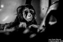 31_in_this_moment_by_martina_sestic.jpg