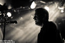 3_dead_forest_index_by_martina_sestic5B15D.jpg