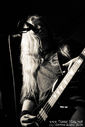 45_Vicious_Rumors.jpg