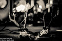 4_mist_by_martina_sestic_2015.jpg