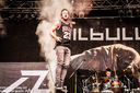 58_MetalDays_Emil_Bulls.jpg
