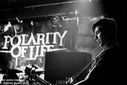 5_Polarity_of_Life.jpg