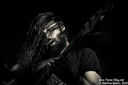 7_dool__by_martina_sestic.jpg