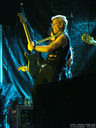 BillyIdol40.jpg