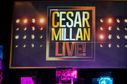 CesarMillan01102014-4231.jpg