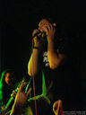 DSC00053.jpg