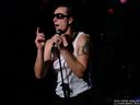DSC00341.jpg