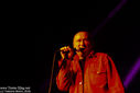 DSC00347_1.jpg