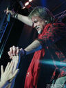 DSC00428.jpg