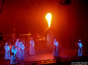 DSC02529.jpg