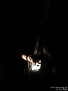 DSC03946.jpg