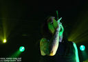 DSC09903.jpg