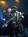 FloggingMolly11.jpg