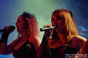 IMGP0911.jpg