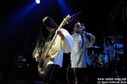 IMGP2364-63.jpg
