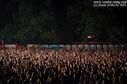 IMGP3643-23.jpg