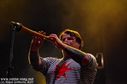 IMGP4233-17.jpg