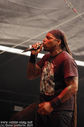 IMGP5968-11.jpg