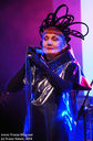 IMGP8264-1.jpg