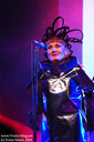IMGP8266-1.jpg