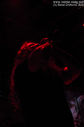 IMGP8574-42.jpg