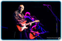 MarkKnopfler_04052013-6441.jpg