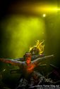 Nightwish___Nova_Rock2C_20152C_Samir-1349.jpg