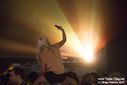Nova_Rock_2017_281329.jpg