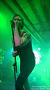 PMP-VIB03.jpg
