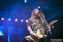 Return_to_Roots_11.jpg