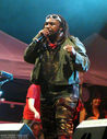Skindred12.jpg