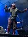 Skindred9.jpg