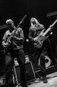 TheBambiMolesters_21022013-0130.jpg