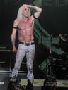 Twisted_Sister_3.jpg