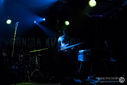 ZebraDots_18122012-4777.jpg
