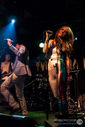 ZebraDots_18122012-4778.jpg